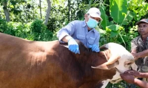 BBA2C34D-2397-414B-AB68-C9A7A4E8618B.jpeg-780x520