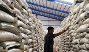 IMG_20240315_164325.jpg-768x512