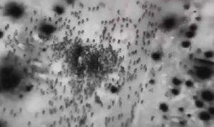 israel tembek warga palestina