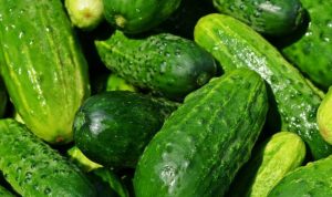 manfaat-timun-untuk-kesehatan-dan-cara-mengonsumsinya_bEPlucG31E-750x375