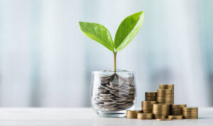 istockphoto-2175808388-612x612