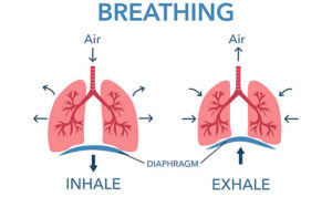 istockphoto-2232981179-612x612