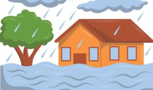 c1_20251029_12162745-750x500