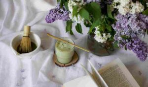 jovan-vasiljevic-ulgOGxL7mtU-unsplash_11zon